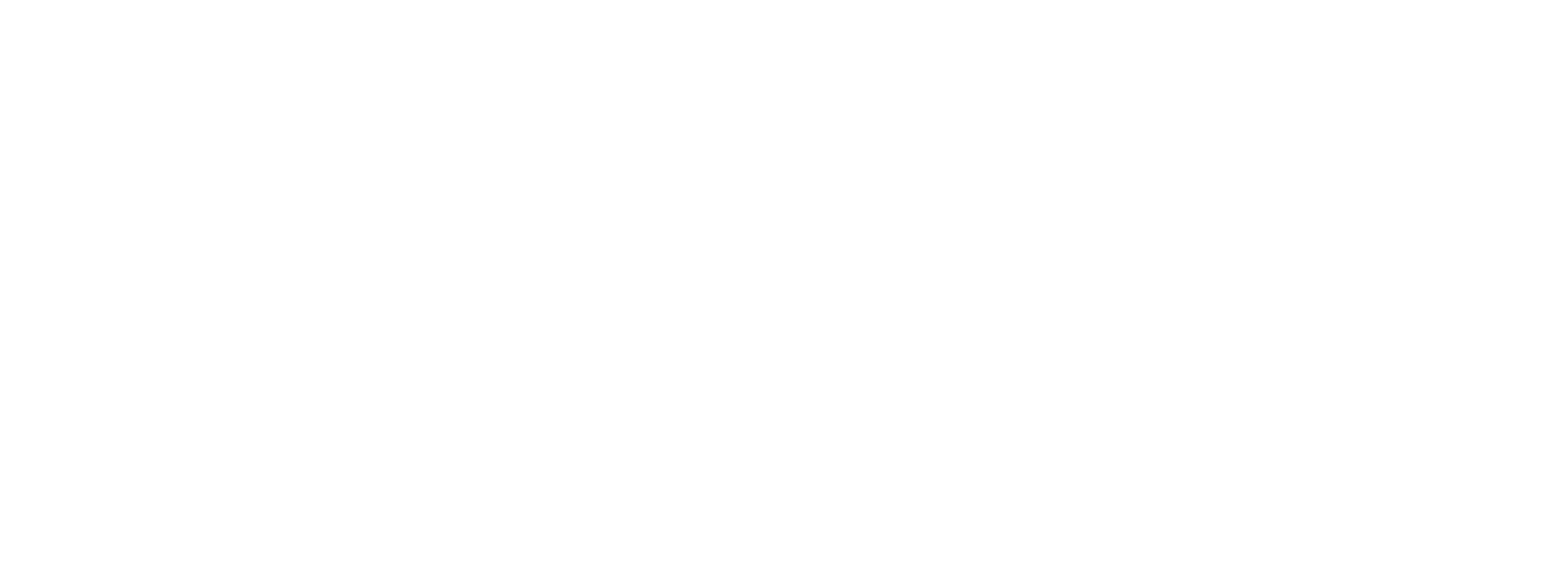 SKY LOGO 2